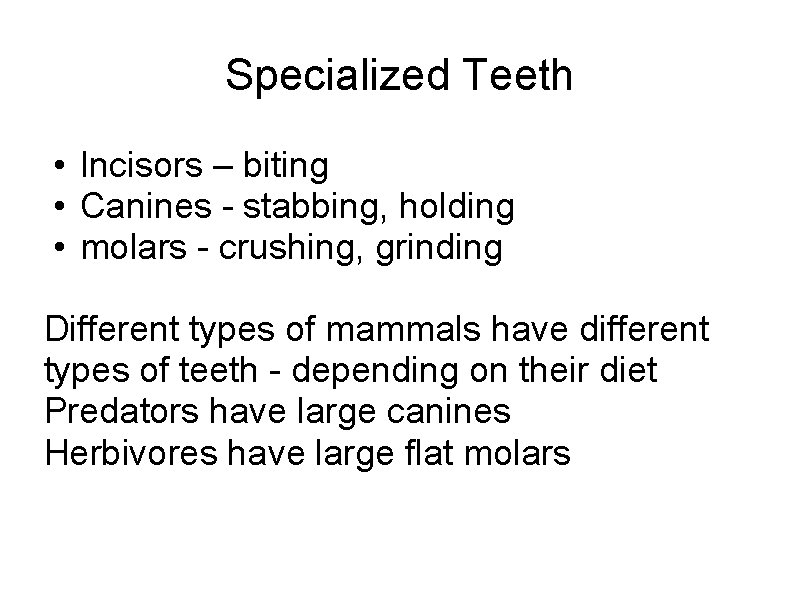 Specialized Teeth • Incisors – biting • Canines - stabbing, holding • molars -