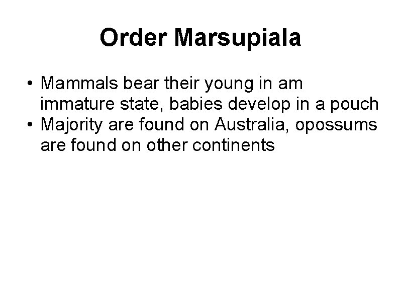 Order Marsupiala • Mammals bear their young in am immature state, babies develop in