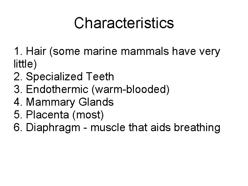 Characteristics 1. Hair (some marine mammals have very little) 2. Specialized Teeth 3. Endothermic