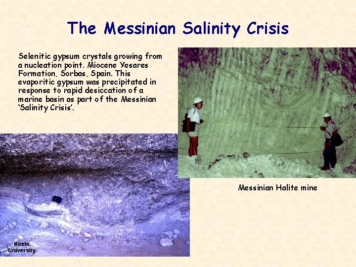 The Messinian Salinity Crisis Selenitic gypsum crystals growing from a nucleation point. Miocene Yesares