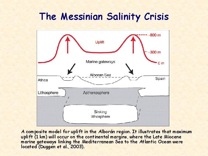 The Messinian Salinity Crisis A composite model for uplift in the Alborán region. It