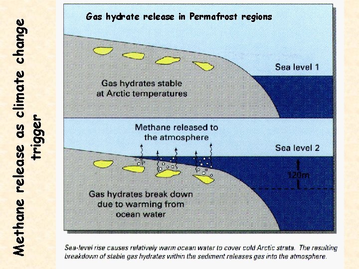 Methane release as climate change trigger Gas hydrate release in Permafrost regions 