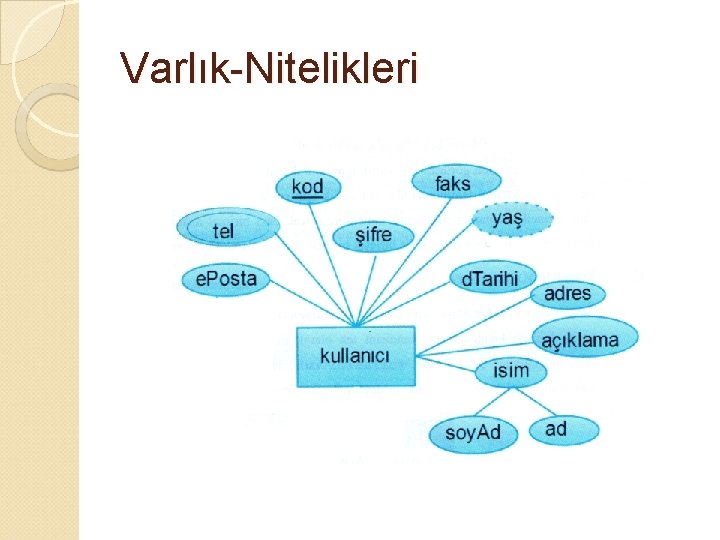 Varlık-Nitelikleri 