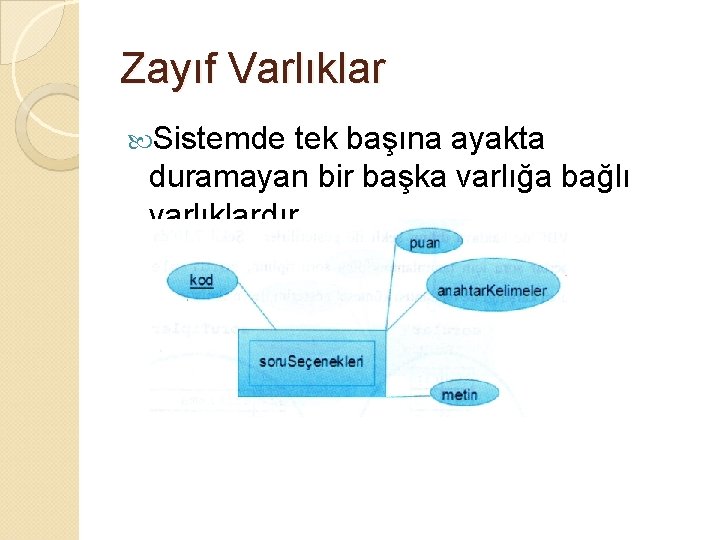 Zayıf Varlıklar Sistemde tek başına ayakta duramayan bir başka varlığa bağlı varlıklardır. 