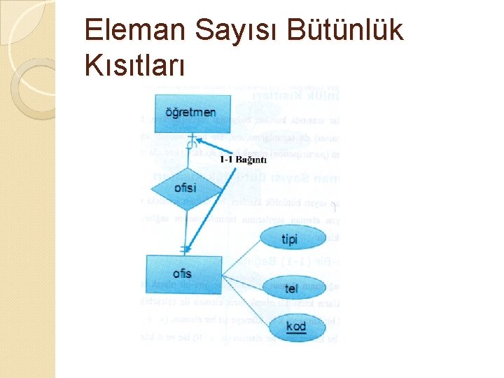 Eleman Sayısı Bütünlük Kısıtları 