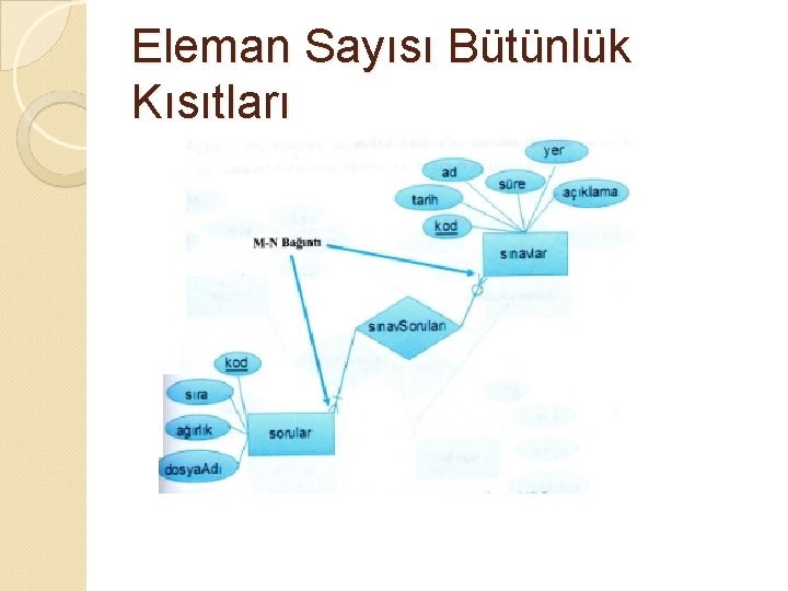 Eleman Sayısı Bütünlük Kısıtları 