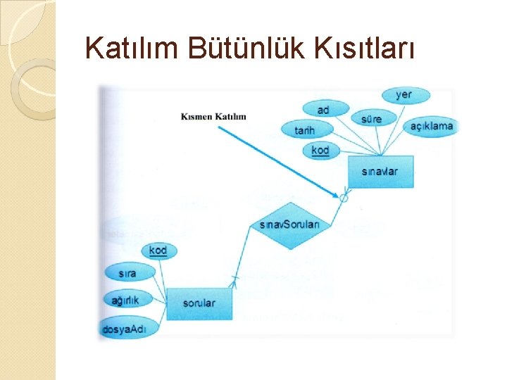 Katılım Bütünlük Kısıtları 