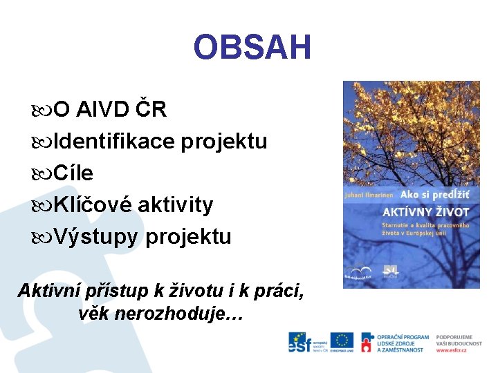 OBSAH O AIVD ČR Identifikace projektu Cíle Klíčové aktivity Výstupy projektu Aktivní přístup k