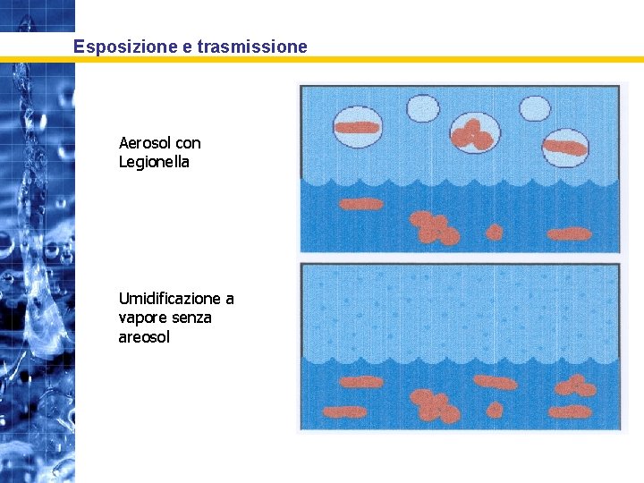 Esposizione e trasmissione Aerosol con Legionella Umidificazione a vapore senza areosol 