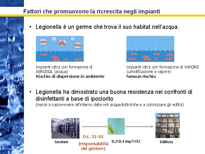 Fattori che promuovono la ricrescita negli impianti • Legionella è un germe che trova