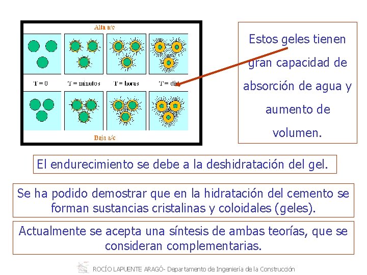 Estos geles tienen gran capacidad de absorción de agua y aumento de volumen. El