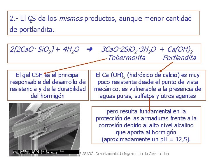 2. El C 2 S da los mismos productos, aunque menor cantidad de portlandita.