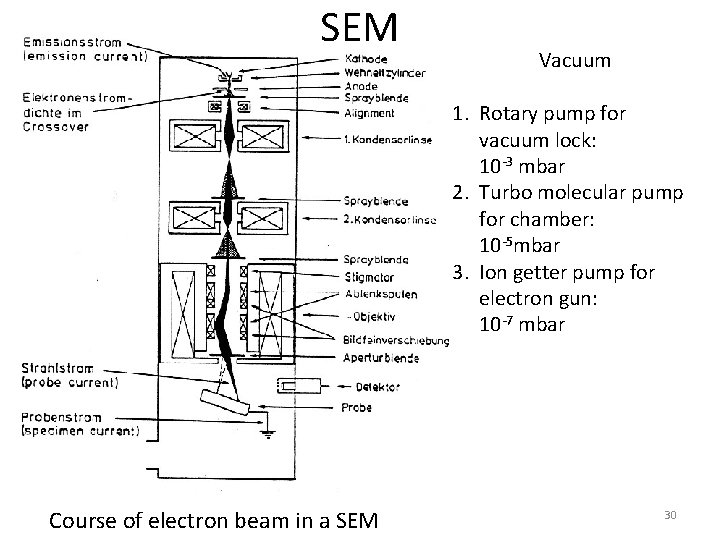 SEM Vacuum 1. Rotary pump for vacuum lock: 10 -3 mbar 2. Turbo molecular