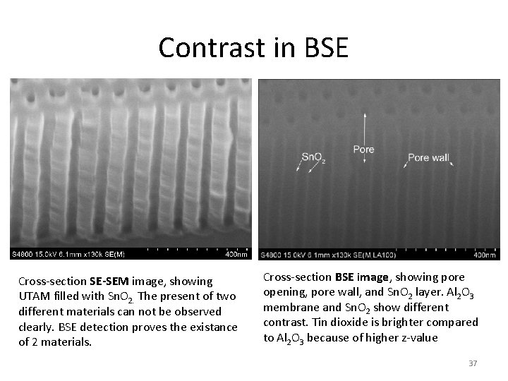 Contrast in BSE Cross-section SE-SEM image, showing UTAM filled with Sn. O 2. The