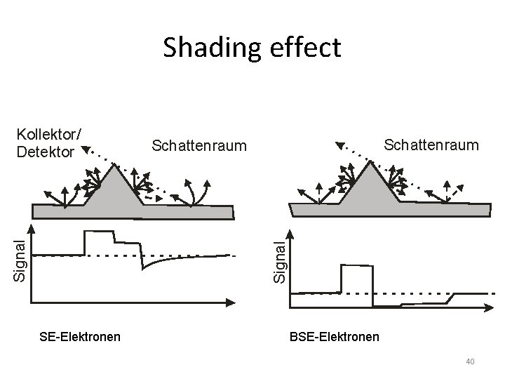 Shading effect Schattenraum Signal Kollektor/ Detektor SE-Elektronen BSE-Elektronen 40 
