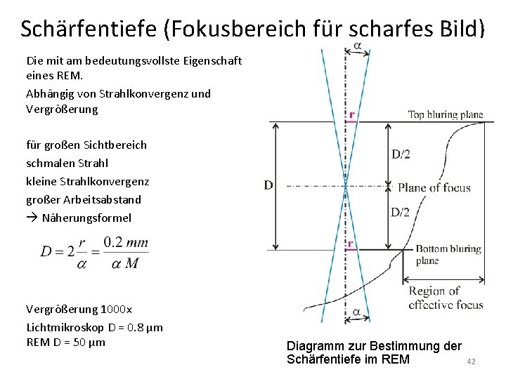 Schärfentiefe (Fokusbereich für scharfes Bild) Die mit am bedeutungsvollste Eigenschaft eines REM. Abhängig von