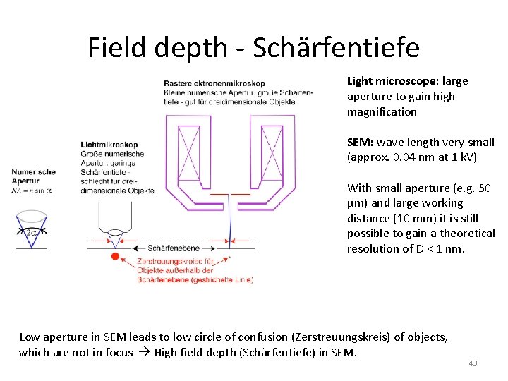 Field depth - Schärfentiefe Light microscope: large aperture to gain high magnification SEM: wave