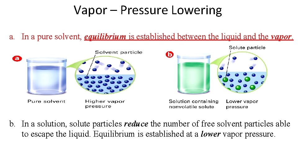 Vapor – Pressure Lowering a. In a pure solvent, equilibrium is established between the