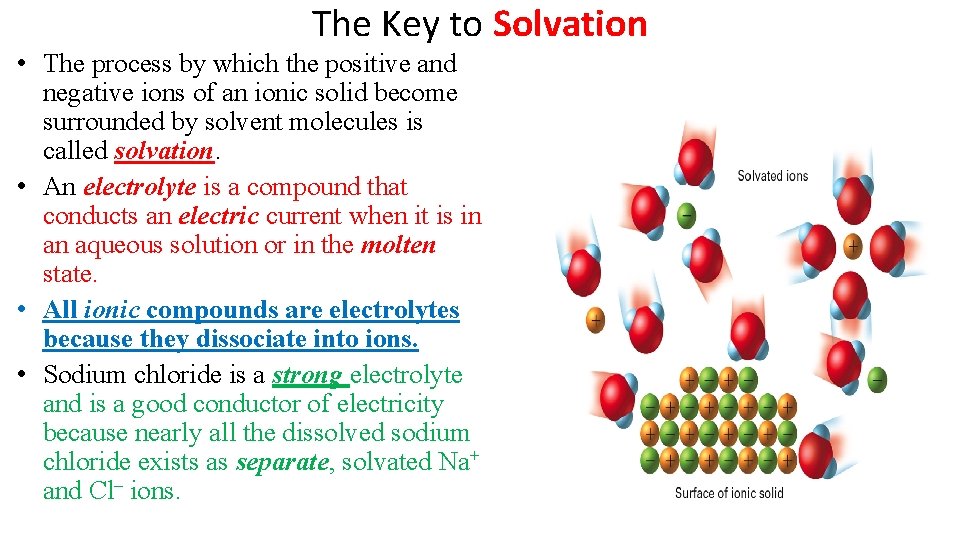 The Key to Solvation • The process by which the positive and negative ions