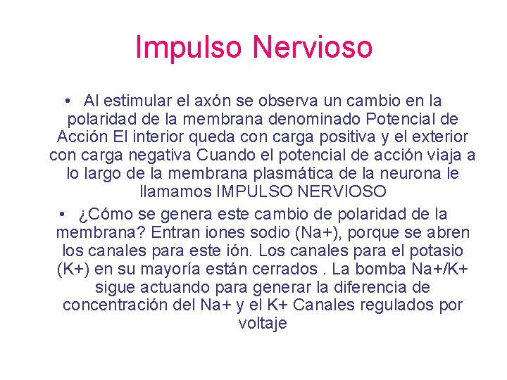 Impulso Nervioso • Al estimular el axón se observa un cambio en la polaridad