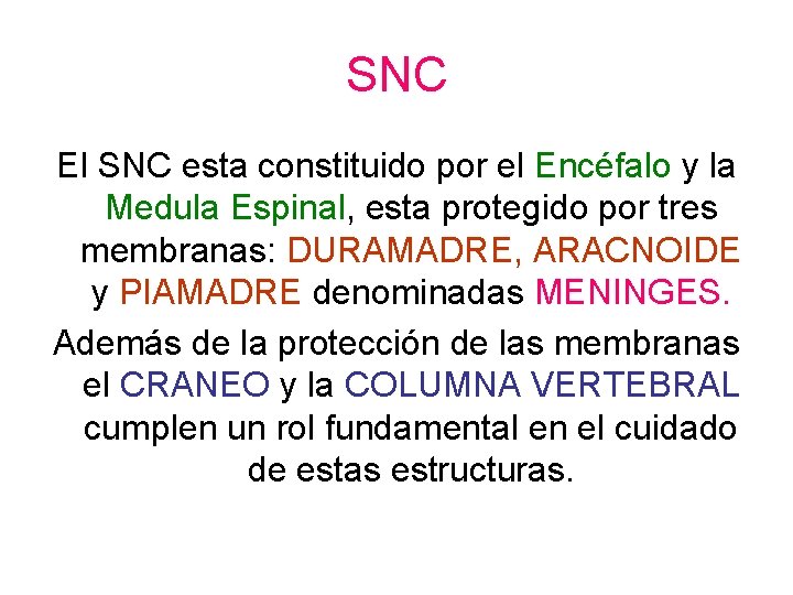 SNC El SNC esta constituido por el Encéfalo y la Medula Espinal, esta protegido