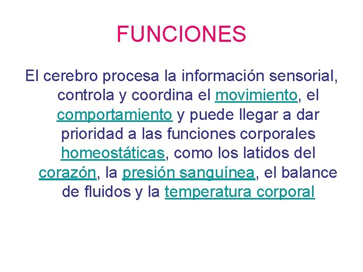 FUNCIONES El cerebro procesa la información sensorial, controla y coordina el movimiento, el comportamiento