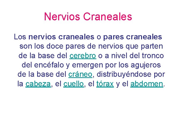 Nervios Craneales Los nervios craneales o pares craneales son los doce pares de nervios