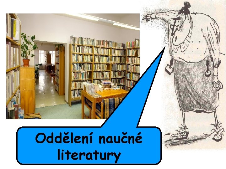 Oddělení naučné literatury 