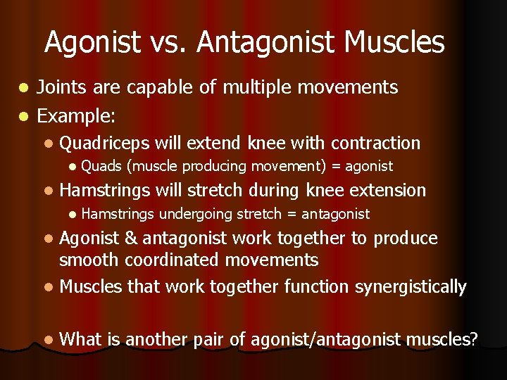 Agonist vs. Antagonist Muscles Joints are capable of multiple movements l Example: l l