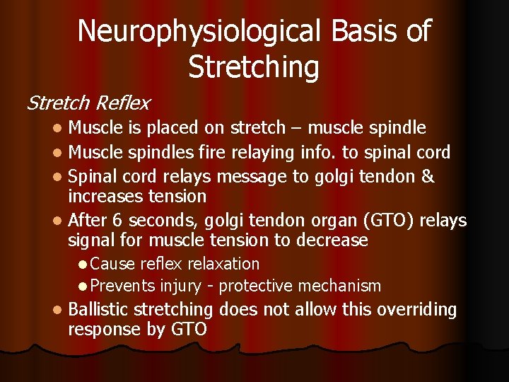Neurophysiological Basis of Stretching Stretch Reflex l Muscle is placed on stretch – muscle