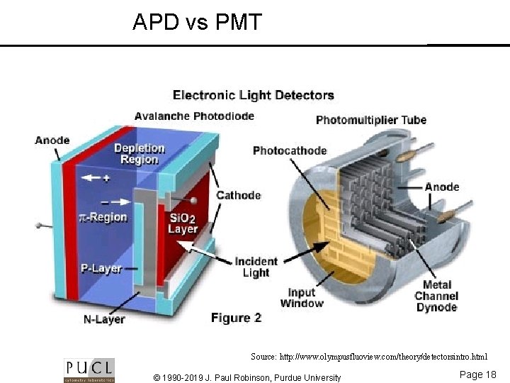 APD vs PMT Source: http: //www. olympusfluoview. com/theory/detectorsintro. html © 1990 -2019 J. Paul