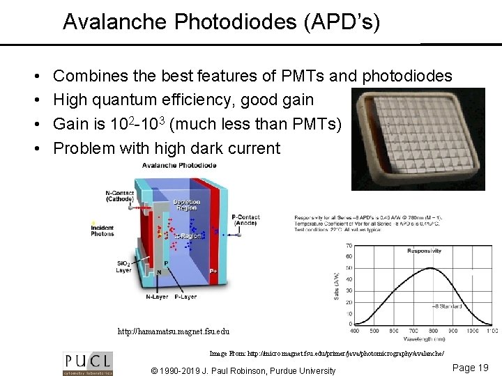 Avalanche Photodiodes (APD’s) • • Combines the best features of PMTs and photodiodes High