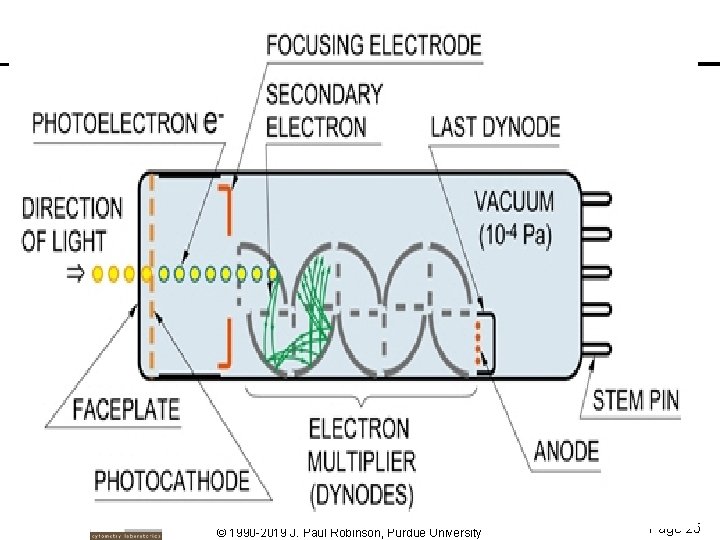 © 1990 -2019 J. Paul Robinson, Purdue University Page 25 