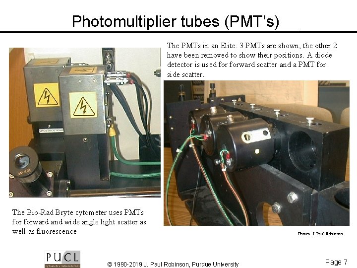 Photomultiplier tubes (PMT’s) The PMTs in an Elite. 3 PMTs are shown, the other