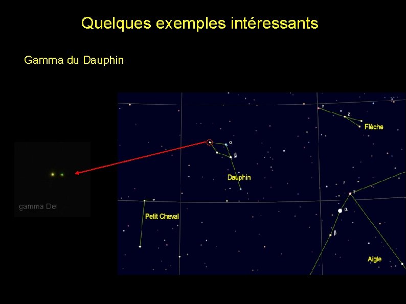 Quelques exemples intéressants Gamma du Dauphin 