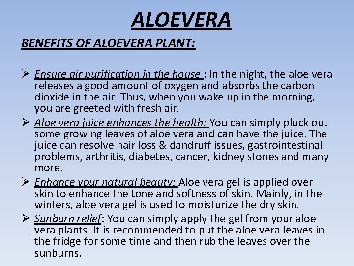 ALOEVERA BENEFITS OF ALOEVERA PLANT: Ø Ensure air purification in the house : In