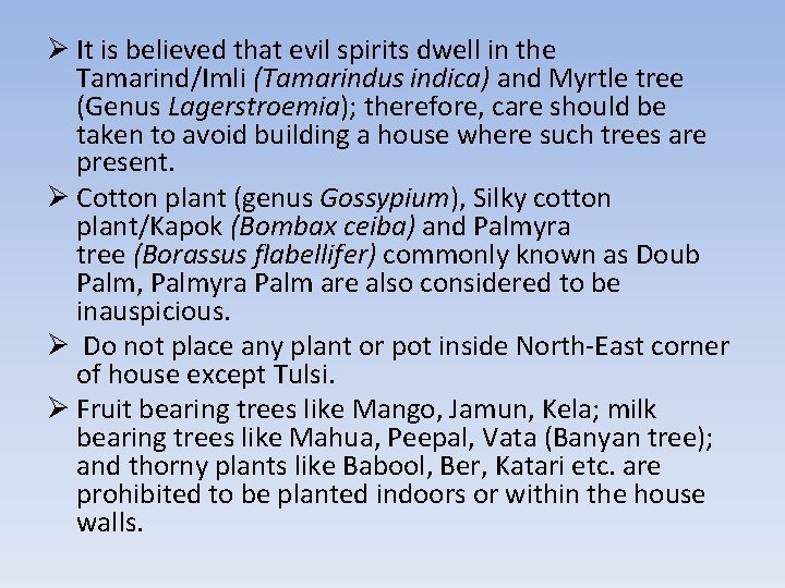 Ø It is believed that evil spirits dwell in the Tamarind/Imli (Tamarindus indica) and