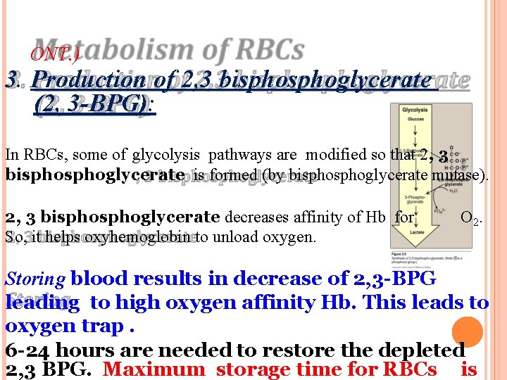 ONT. ) 3. Production of 2, 3 bisphoglycerate (2, 3 -BPG): In RBCs, some