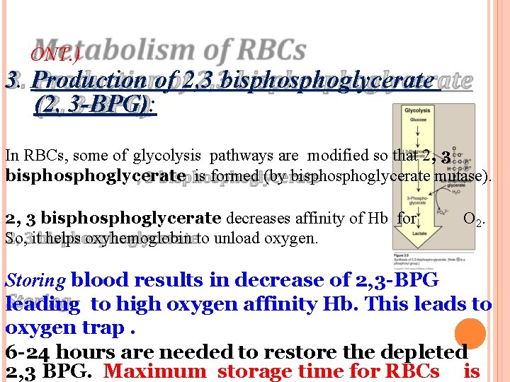 ONT. ) 3. Production of 2, 3 bisphoglycerate (2, 3 -BPG): In RBCs, some