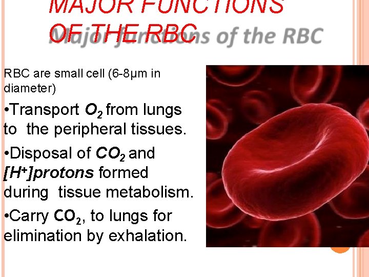 MAJOR FUNCTIONS OF THE RBC are small cell (6 -8μm in diameter) • Transport