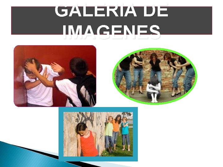 GALERIA DE IMAGENES 