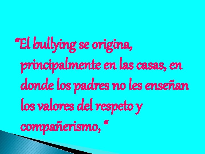 “El bullying se origina, principalmente en las casas, en donde los padres no les