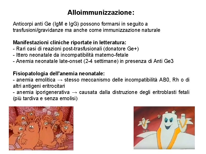 Alloimmunizzazione: Anticorpi anti Ge (Ig. M e Ig. G) possono formarsi in seguito a