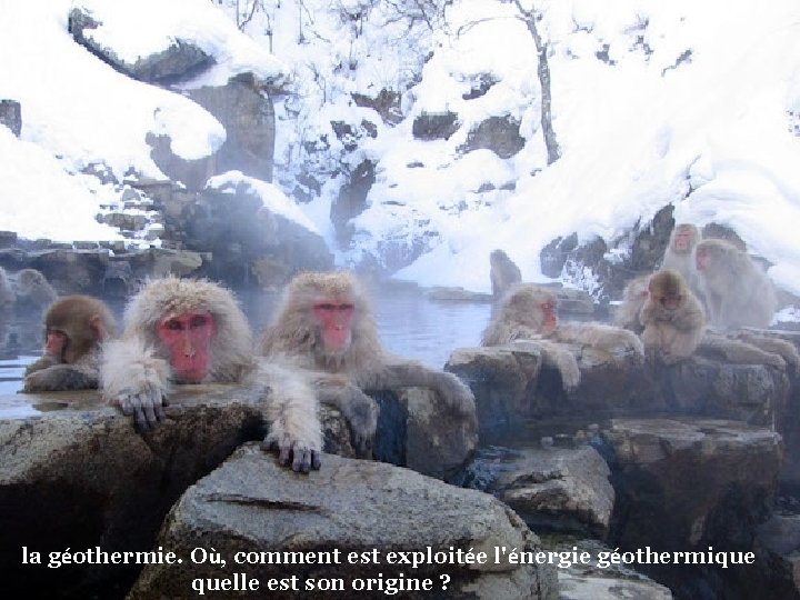 la géothermie. Où, comment est exploitée l'énergie géothermique quelle est son origine ? 