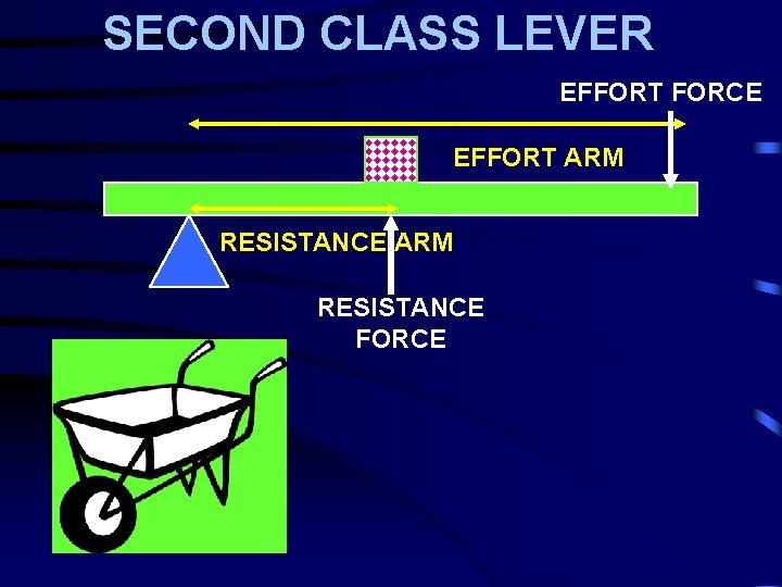 SECOND CLASS LEVER EFFORT FORCE EFFORT ARM RESISTANCE FORCE 