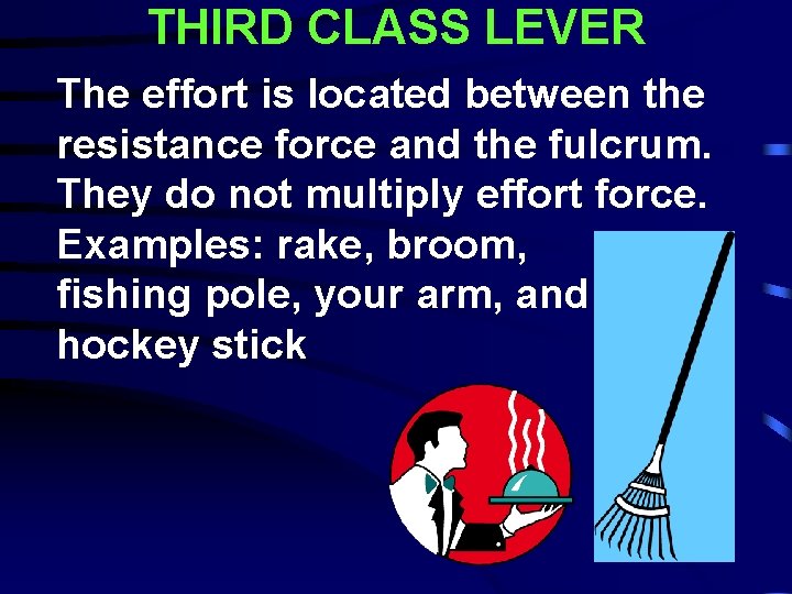 THIRD CLASS LEVER The effort is located between the resistance force and the fulcrum.