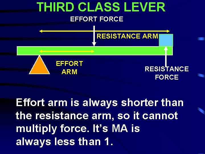 THIRD CLASS LEVER EFFORT FORCE RESISTANCE ARM EFFORT ARM RESISTANCE FORCE Effort arm is