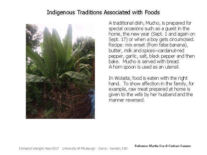 Indigenous Traditions Associated with Foods A traditional dish, Mucho, is prepared for special occasions