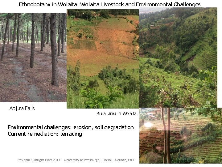 Ethnobotany in Wolaita: Wolaita Livestock and Environmental Challenges Adjura Falls Rural area in Wolaita