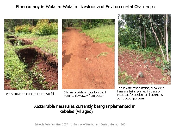 Ethnobotany in Wolaita: Wolaita Livestock and Environmental Challenges Wells provide a place to collect